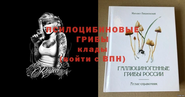 кокс Абаза