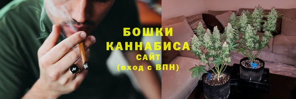 ГАЛЛЮЦИНОГЕННЫЕ ГРИБЫ Наволоки