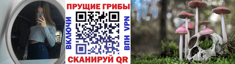 Галлюциногенные грибы MAGIC MUSHROOMS  купить  цена  Переславль-Залесский 